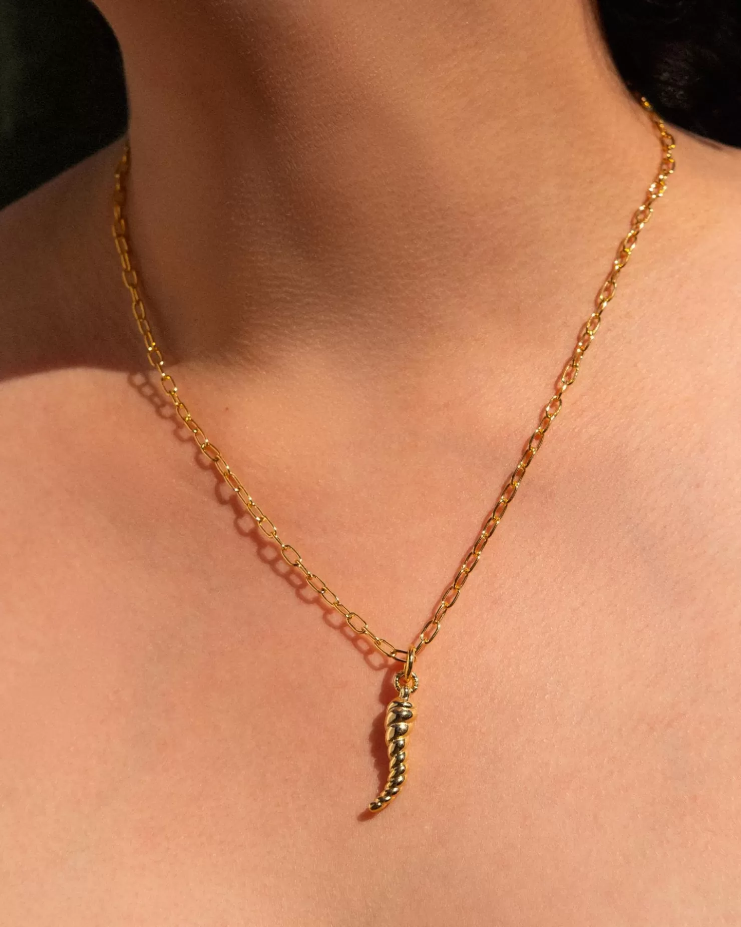 Pamela Love Horn Pendant | Women Necklaces