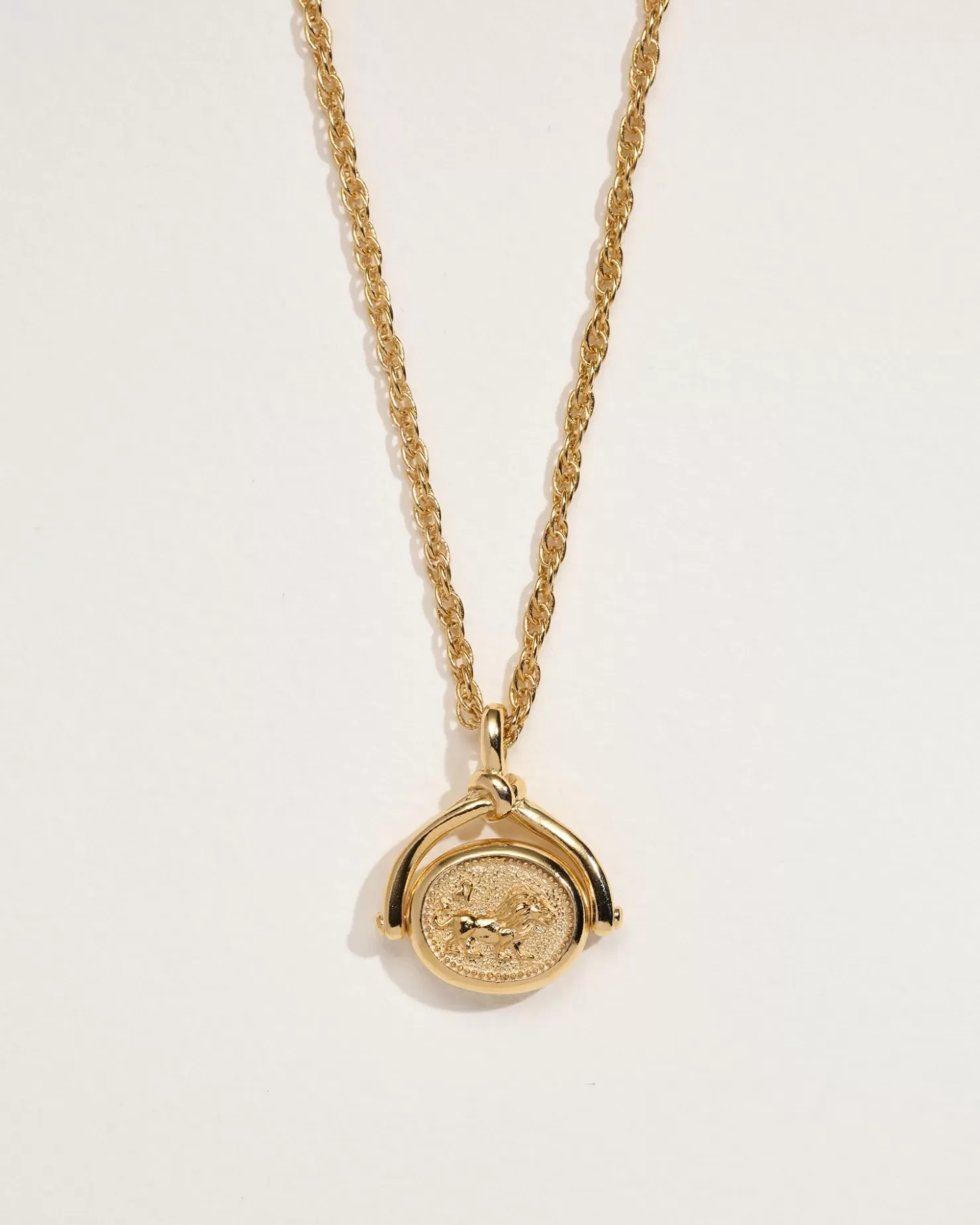 Pamela Love Leo Spinner Pendant | Women Necklaces